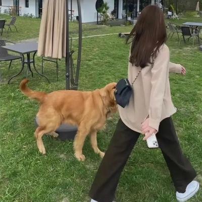 西装暴徒