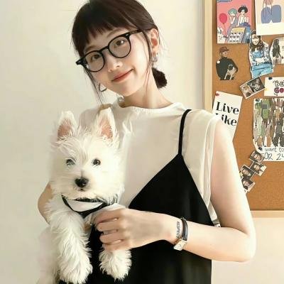 全金属裂痕